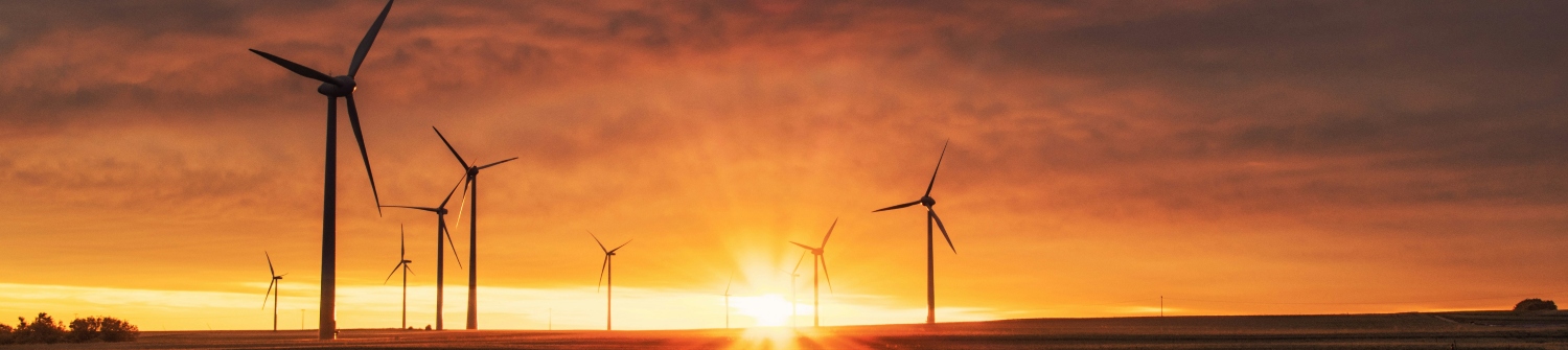 The transition to a low-carbon economy the biggest challenge of this century