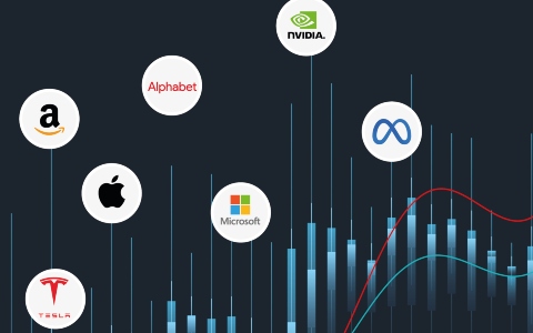 Will the Magnificent 7 continue to set the pace in the market - Private Bank International