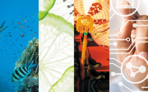 Tem&aacute;ticas del momento - Private Bank International